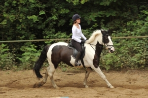 Riding-Course-in-canter1